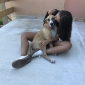 Petsitter à Bascharage/Petange