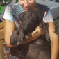 pet sitter con esperienza