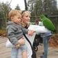 Cherche nounou/baby sitter