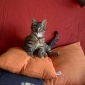 Garde ponctuelle /// URGENT