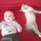 recherche personne serieux pour juillet