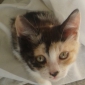 A GARDER PATOUNE 8 MOIS