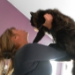 garde de 2 chats !