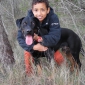 urgent pour garde de chien