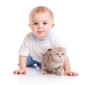 Babysitter gesucht:.