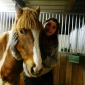Garde d'animaux :)