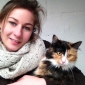 Dog-cat sitting