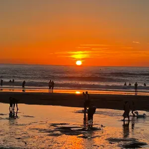 Baby-sitter et étudiante infirmière