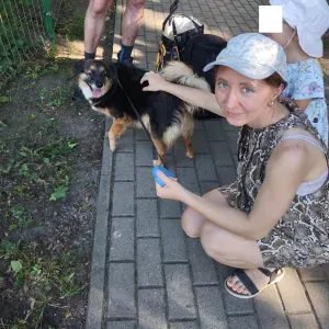 Opieka nad kotem (lub psem) pettsiter nocleg dla kota (psa)