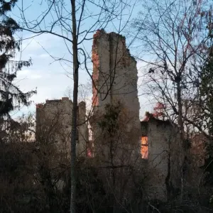 aide à domicile pour l'entretien maison et jardin 