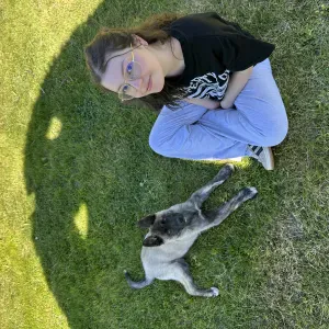 Pet sitting em Monção, Passeio e Cuidados para animais 