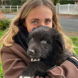 Pet sitter a contres et ses alentours 