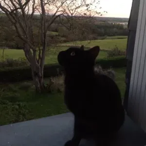 Auxiliaire de vie pour maintien à domicile jour/nuit