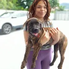 Elsker hund og kate kæledyrspasningstjenester