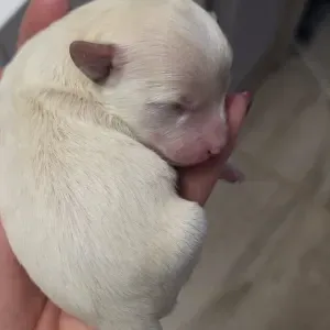 Professional Baby Care with Love & Safety 