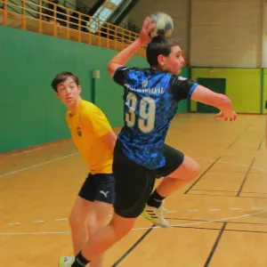 Pet-sitter saint pathus oissery saint souplet 