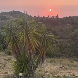 Procura-se empregada de limpeza perto de Messines