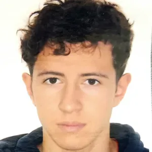 Baby-sitter sur Roanne 