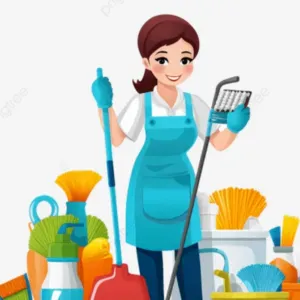 Femme de Menage villeurbanne et sa region