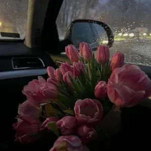 Garde enfants toute âges baby sityng