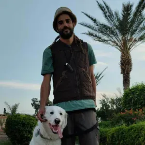 Serviço de DogWalking