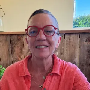 Femme de ménage  les sables d'Olonne 