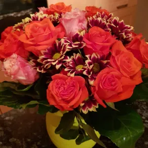 Poste de femme de ménage à Bonvillars