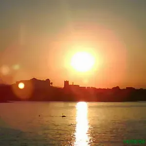 Lavoro come petsitter a Rozzano