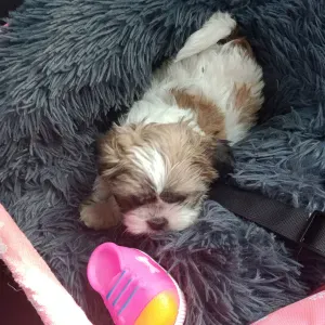 Sympa mais assidue, je cherche à élargir mes compétences !