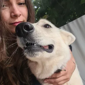 Baby-sitter com experiência a mais de 5 anos