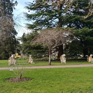Dame de compagnie douce et à l'écoute à Orléans