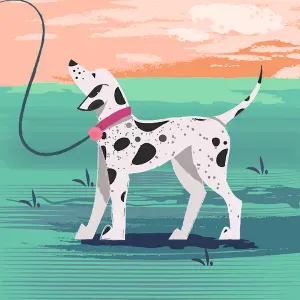 Je suis un jeune pet-sitter a Bruxelles 