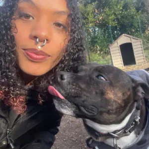 Pet-Sitter ayant travaillé en pension canine 