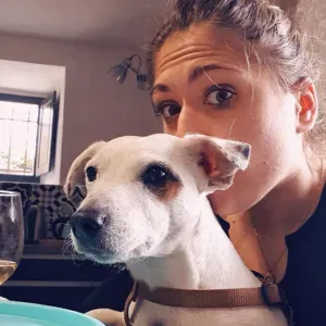 Garde de boules de poils