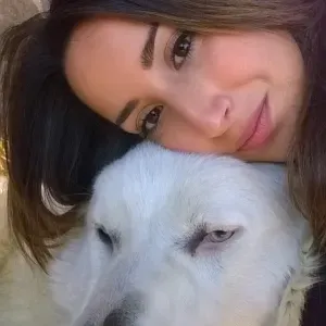 Pet sitting Colonna (RM) e dintorni