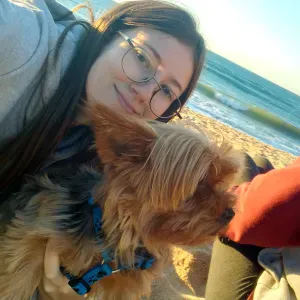 Babysitter e petsitter para zona central de Lisboa