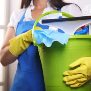 Femme de ménage expérimentée - Disponible tous les matins