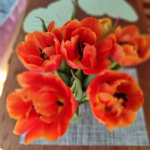 Ieškau darbo prižiureti senyvo amžiaus žmogų