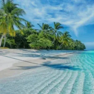 Soutien anglais primaire collège 