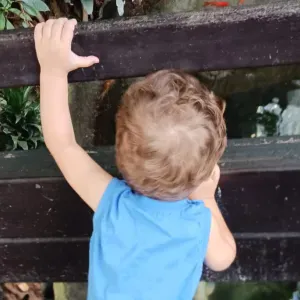 Je recherche une nounou/assistance maternelle(agréé)