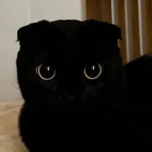 Cuidadora de animales en Murcia