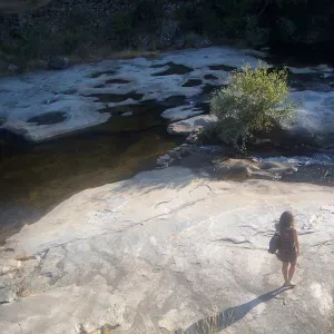 Procuro um petsitter perto de mim