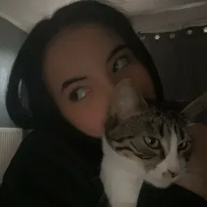 Pet-sitter Lille et les allentours