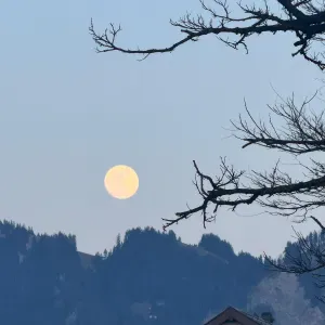 Femme de ménage expérimentée  a bule