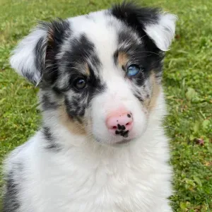 Prof biologie vers toulouse !!!