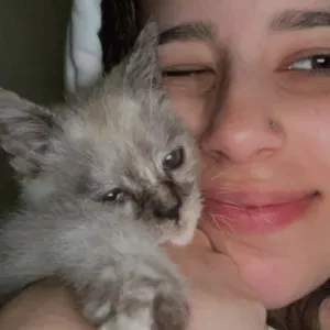 Pet sitting para o seu bebé em Gondomar