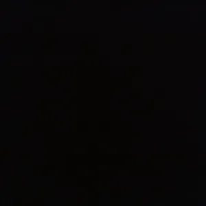 Garde d'animaux sérieuse et attentionnée à Aix-les-Bains