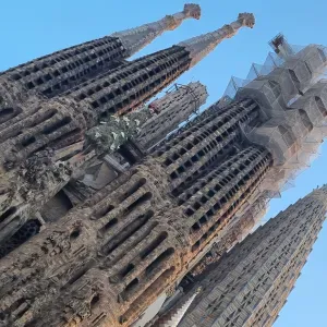 ASSISTANTE DE VIE  sur la vallée de la lys