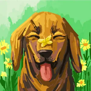 I am looking for virtual sitter