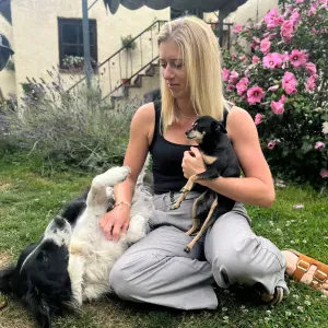 Toiletteuse, gardienne de chien et chat 